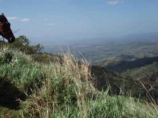 Scenic view from horseback