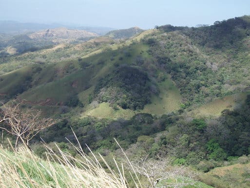 Scenic view from horseback