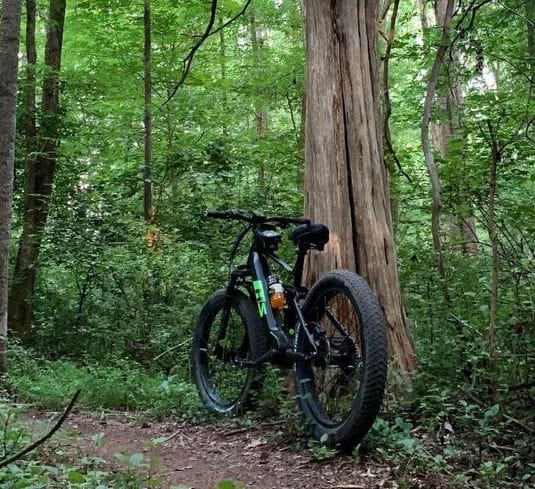 2020 shadow-phantom-matte_pearl_white-1950x1140