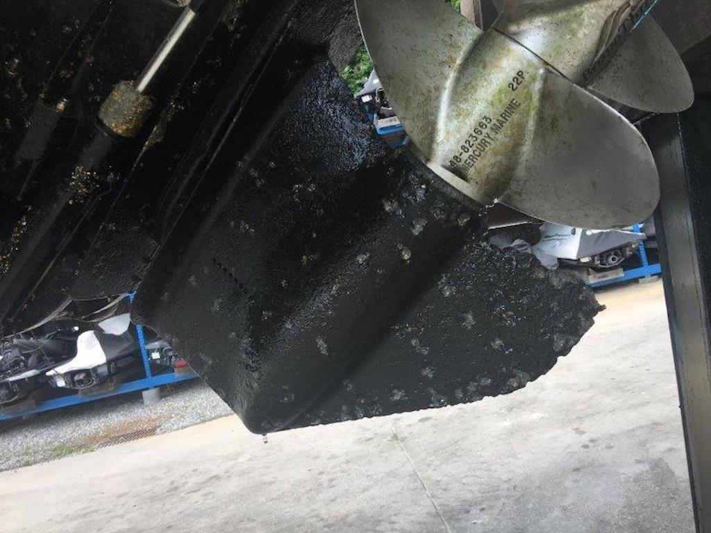 viktor ritsvall-FWJinfDsIn8-unsplash-web