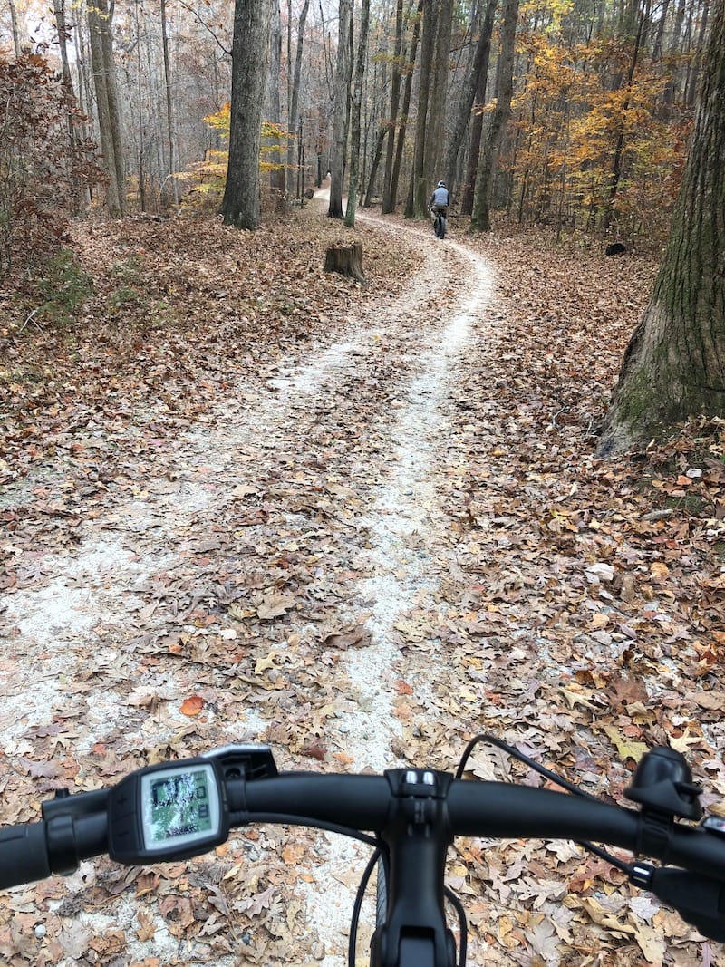 T10 Medeo on the trail..