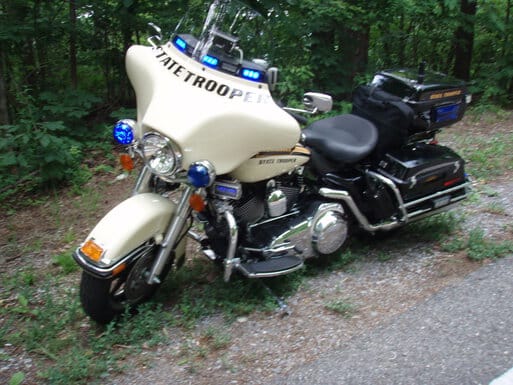 rooster roaming around